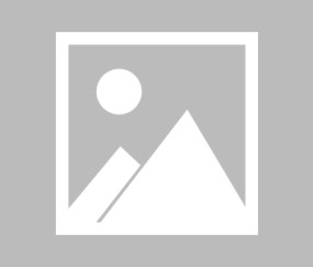 法甲：欧塞尔VS洛里昂比赛分析